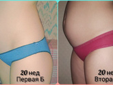 20 недель..