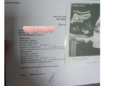 Что новости с полей