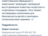 Выгул собак