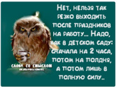 Первые шаги в трудо выебудни 👣
