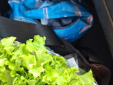 Траты на продукты с 24 по 25 июля