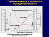 Скажите действительно после 1200 удваивается 72-96 часов?