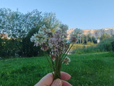 Душевное равновесие