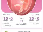10 недель в понедельник
