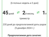 Срок