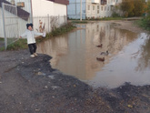 Ну, с началом сезона