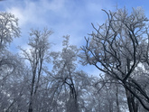 Внезапно зима ❄️