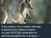 Почитала отзывы про владимирские