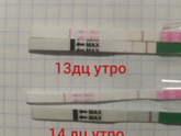 Девочки подскажите.