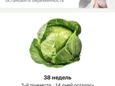 Финешняя прямая