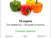 18 недель. 🌶️🫑