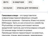 Спасение шмеля.