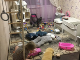 Съемное жильё