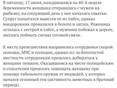 Классные новости 2