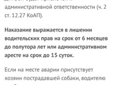 Девочки, может кто Разбирается