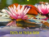 Фотография 2023-07-07 07:46:47