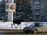 Что советуете посетить в вашем городе?