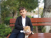 Про котиков