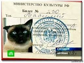 У вашего питомца есть отчество? ;)