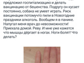 Чё у всех прям кошки привитые?