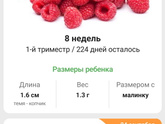 Нам 8 недель , мой малыш люблю тебя очень))