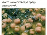Вредная девчонка!