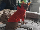 Выходные