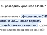 Курятник🤪