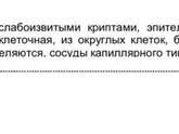 Результат пайпель биопсии