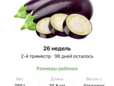 26 недель.
