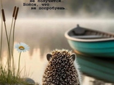 Фотография 2025-09-11 21:32:18