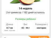 ???14 недель???