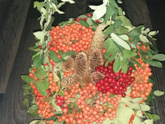 Корзинка из рябинки с