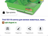 Джунгарики