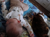 Кош и деть 😜
