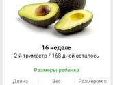 16 недель. 🥑🥑🥑