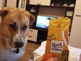 Мой🥰🐕