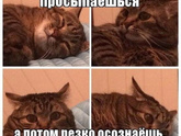 Хорошего дня