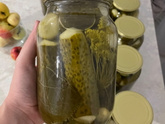 Первые огурчики 🥒