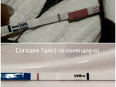 Ну вот и наши