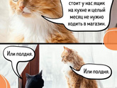 У вас тоже вкусняшки