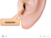Здравствуйте мамочки .младший