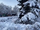 Снег