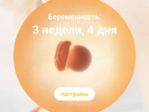 3-Я неделя: что происходит