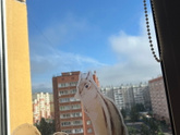 Осень в июле. Бесит ?