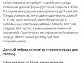 Мой любимый огород))