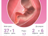 Сегодня 27.09.2021🤨
