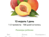 13 недель .