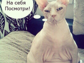 Это прям я по