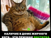 Хочуууу....)))